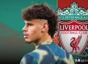 开云体育官方网站-包含利物浦球星加盟纽伦堡，德甲争冠格局再添变数的词条