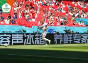 开云体育官方网站-蒙特内哥罗队在欧预赛中硕果累累，黑马闪耀的简单介绍