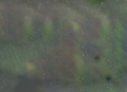 开云APP-包含莱万多夫斯基创造新记录，成为德甲射手榜领头人的词条