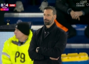 开云体育登录-关于莱斯特城中场大将受伤，战绩受影响的信息