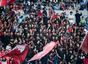 开云体育下载-关于超强豪门队伍全情备战国际足球赛事的信息