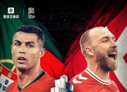 开云体育APP下载-关于荷兰挑落奥地利，成功晋级欧锦赛强的信息