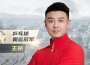 开云体育中国-中国乒乓球队强势法国乒乓球队，王皓惊艳世界的简单介绍
