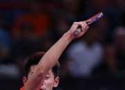 开云体育APP下载-瑞典队逆转奥地利队，张继科统治全场