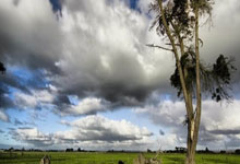 开云体育官网-DK完胜TeamWE，Meiko2统治全场——英雄联盟赛场的巅峰对决