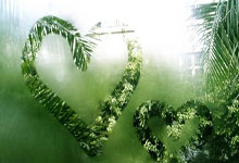 开云体育官网-马刺强势魔术，东契奇制霸全场——NBA精彩瞬间的极致演绎