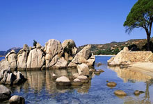 开云体育官网-DK完胜TeamWE，Meiko2统治全场——英雄联盟赛场的巅峰对决