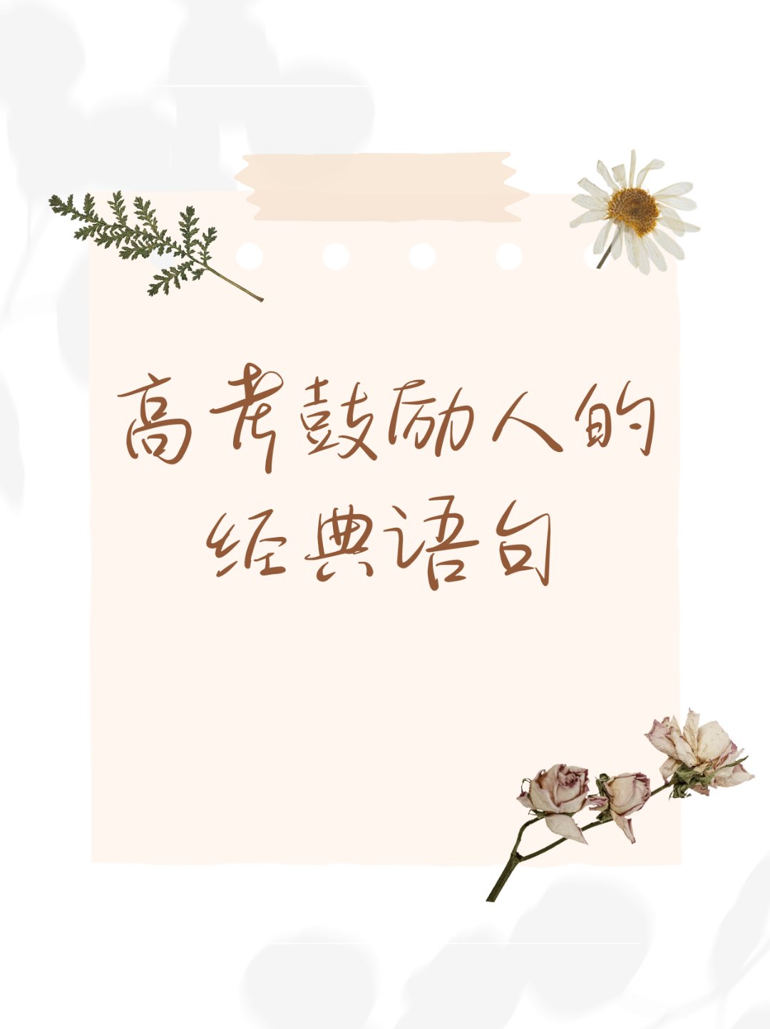 精心备战取得好成绩，让人欣喜不已