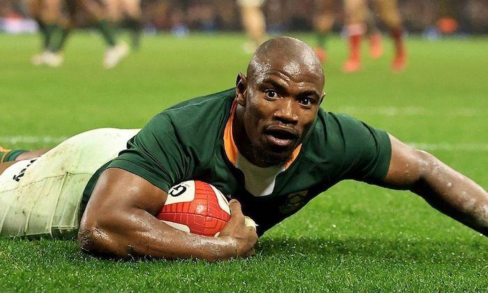 南非女篮在国外赛事中展现出色实力 南非女篮在国外赛事中展现出色实力