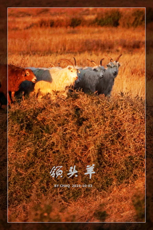 包含联赛中期过半，领头羊脱颖而出！的词条